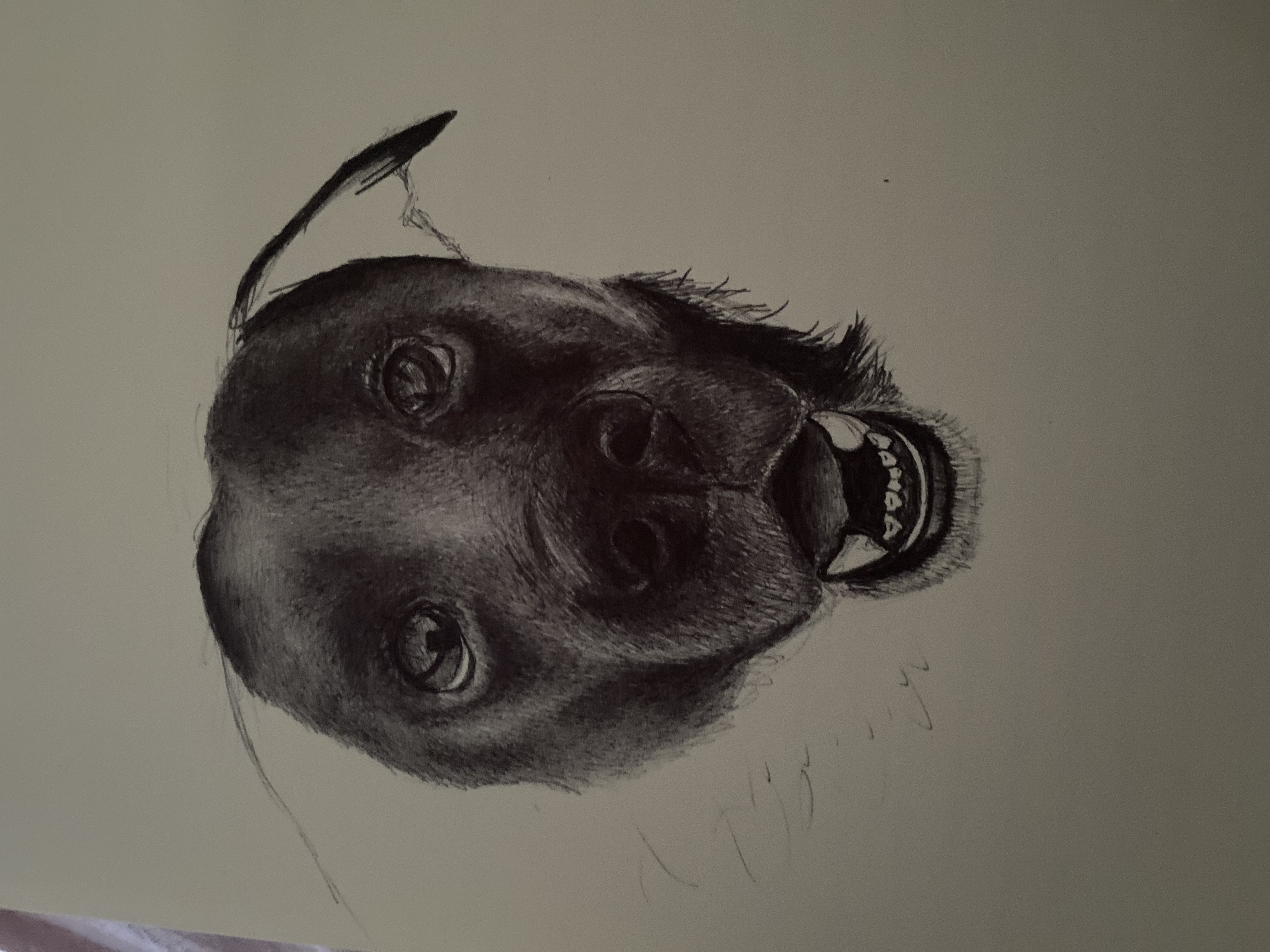 Ballpoint pen art
