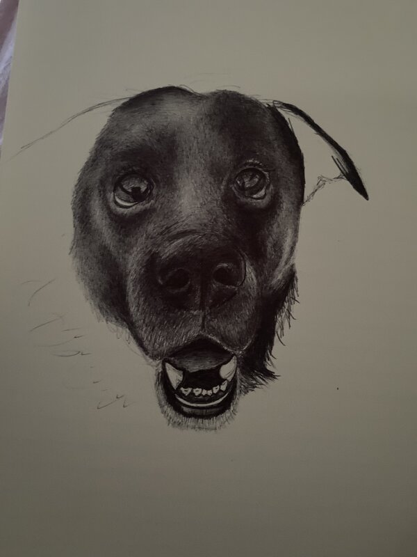 Ballpoint pen art