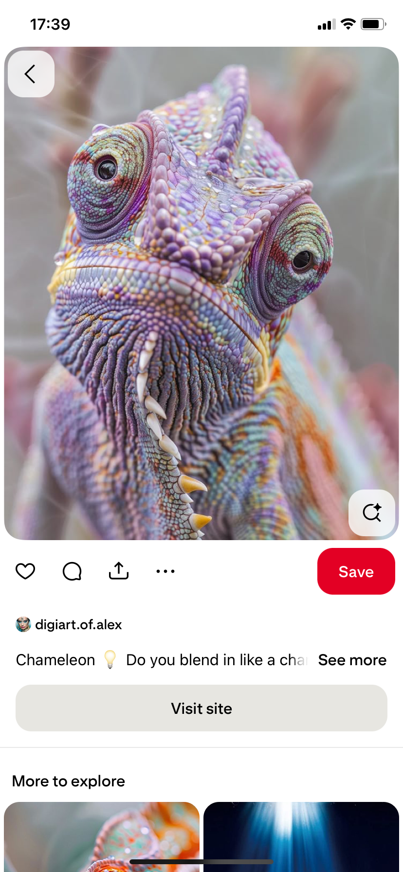 Fairy chameleon