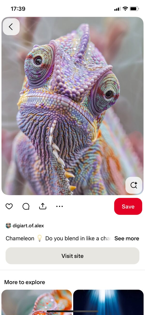 Fairy chameleon
