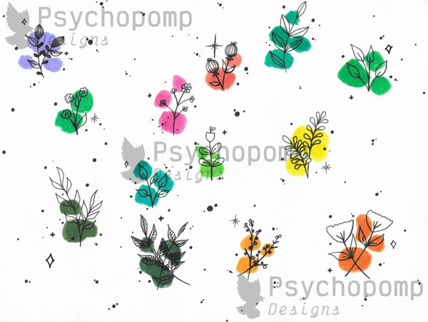 Botanical Studies — Warm