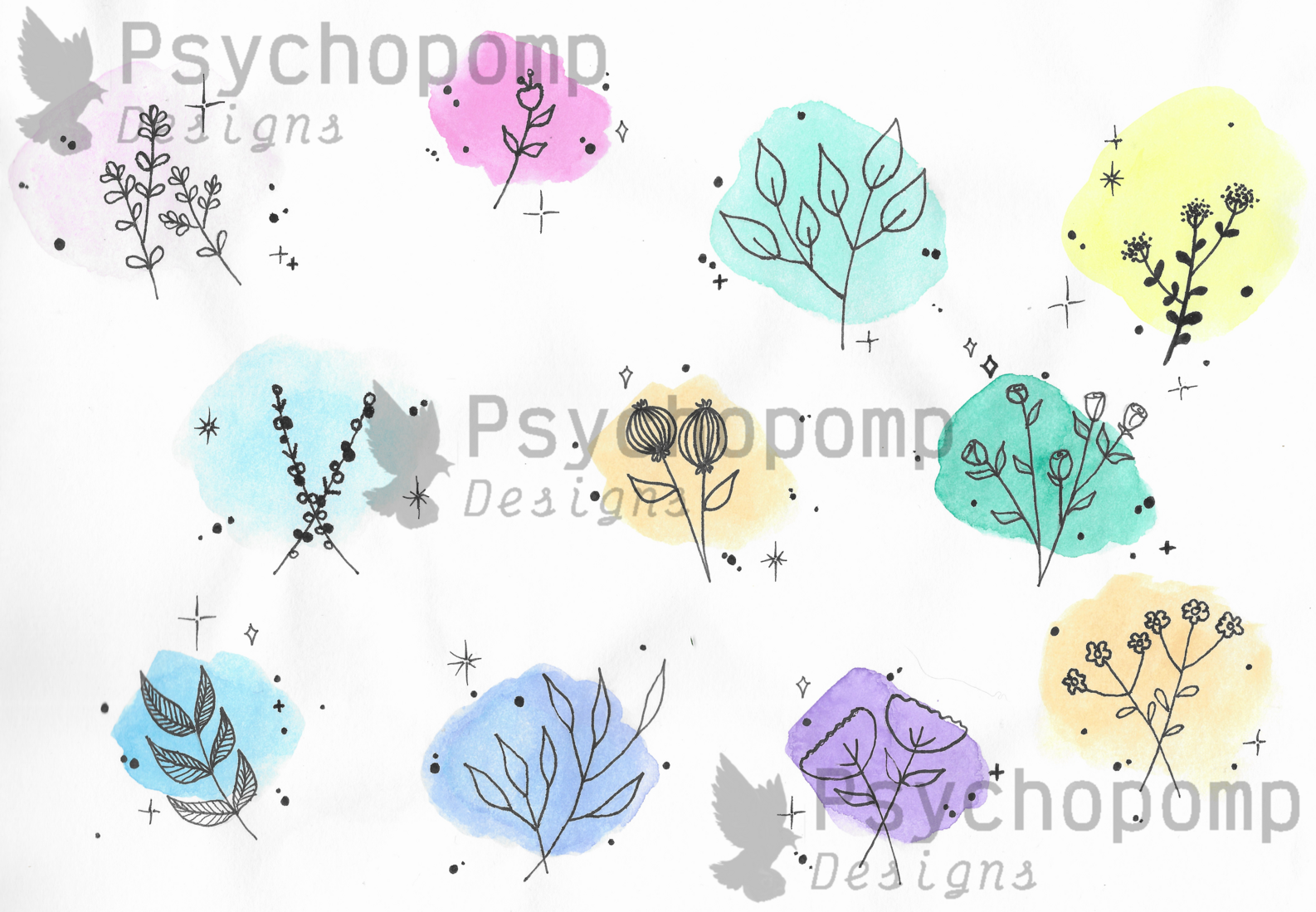 Botanical Studies — Pastel