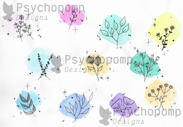 Botanical Studies — Pastel