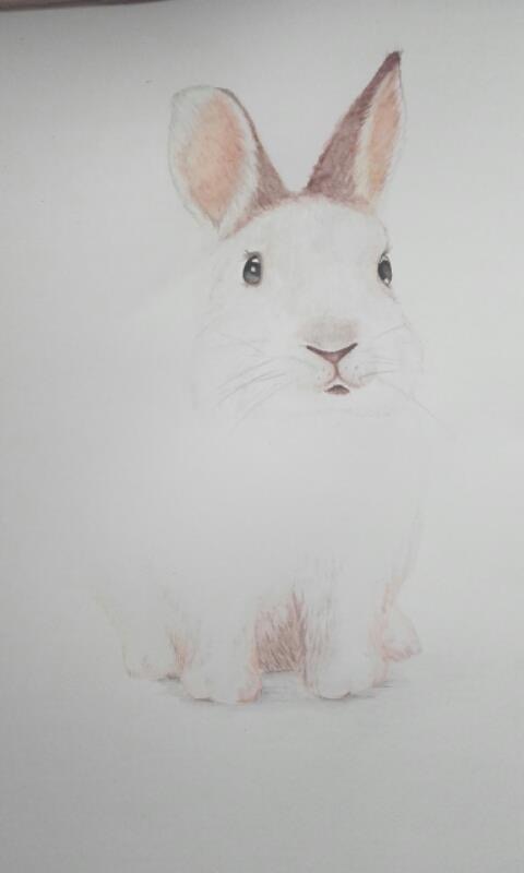 Watercolour bunny